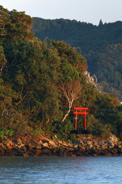 Flaherty, Dennis 아티스트의 Japan, Wakagama A Torii Gate on hillside작품입니다.